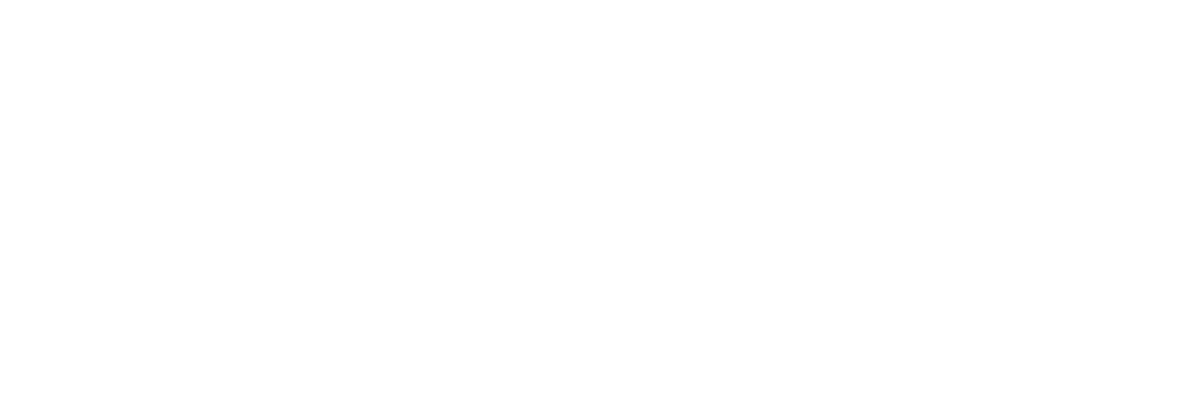 Slanster Logo